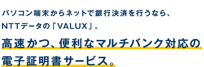 パソコン端末からネットで銀行決済を行うなら、NTTデータの「VALUX」高速かつ、便利なマルチバンク対応の電子証明書サービス。